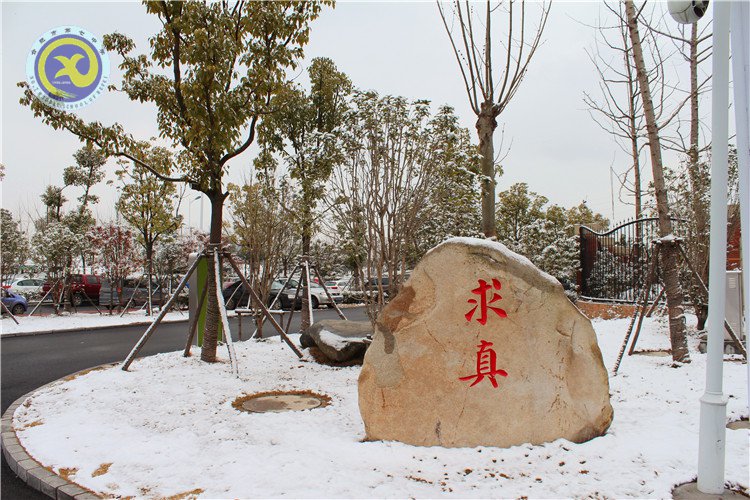 雪园“石头记”,最美是气质(图2)