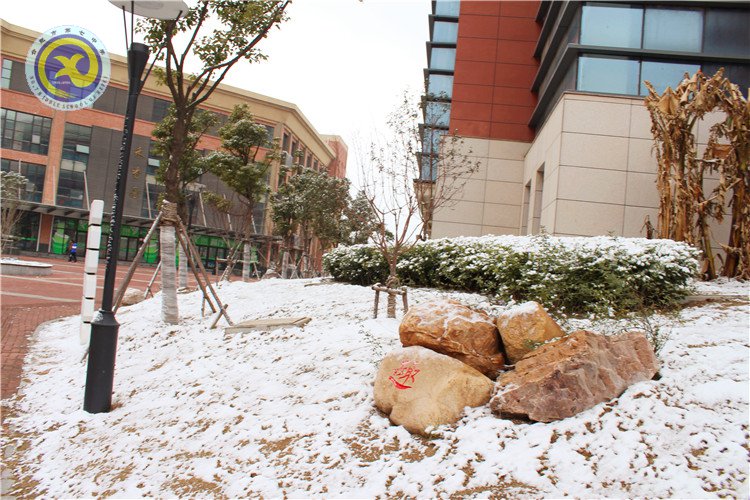 雪园“石头记”,最美是气质(图14)