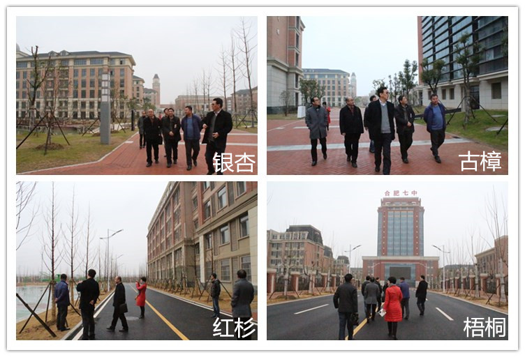 四季花开春常在,校际交流促发展(图5)