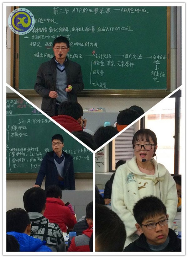 小荷才露尖尖角 早有蜻蜓立上头(图2)