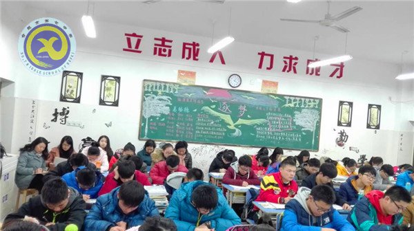 共探阅读课教学,齐助青年教师成长(图4)