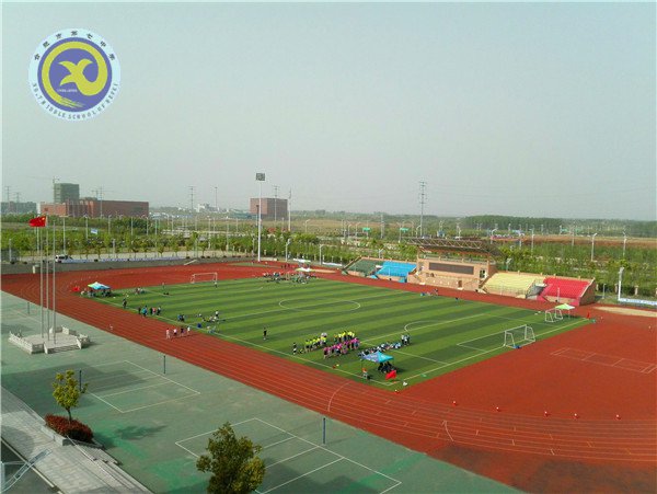 首战已告捷,来日更可期(图8)