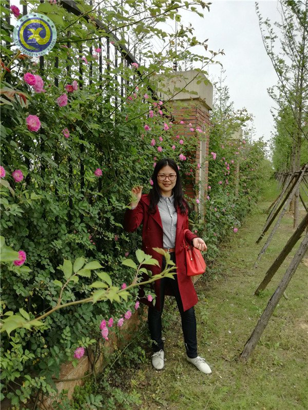 生物高级教师丁慧老师简介(图1)