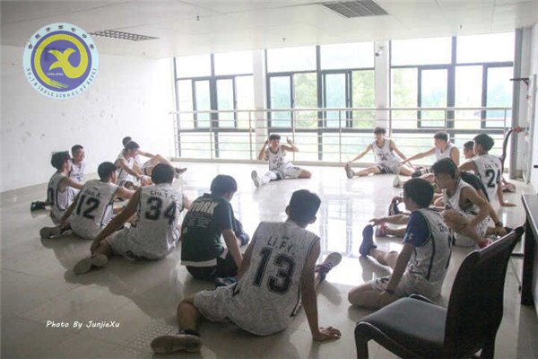 青春因篮球而精彩,生命因体育而辉煌(图3)