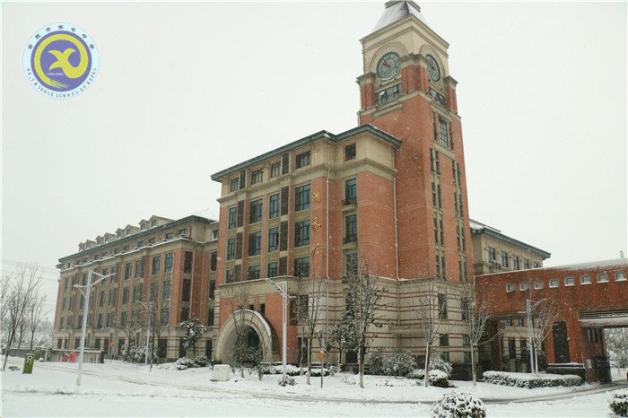 党员干部扫雪忙 师生离校保通畅(图1)
