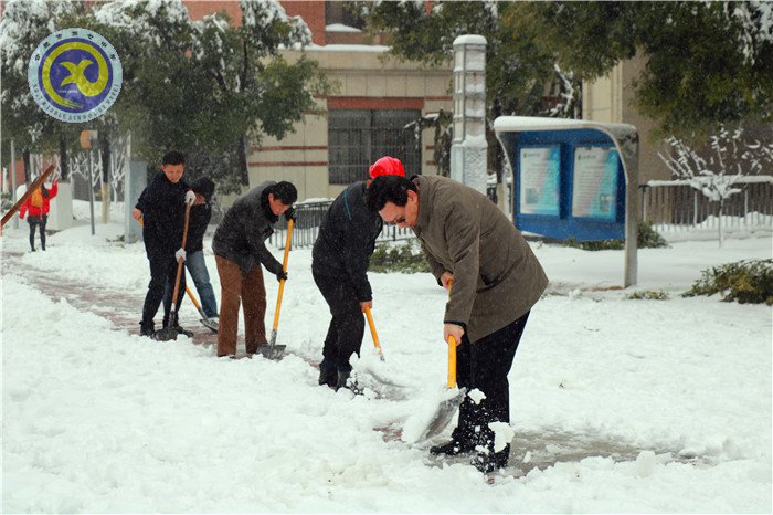 党员干部扫雪忙 师生离校保通畅(图3)