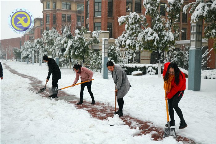 党员干部扫雪忙 师生离校保通畅(图6)
