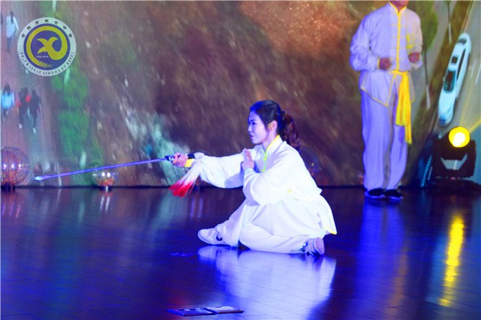 合肥七中第二十二届科技文化艺术节圆满闭幕(图37)