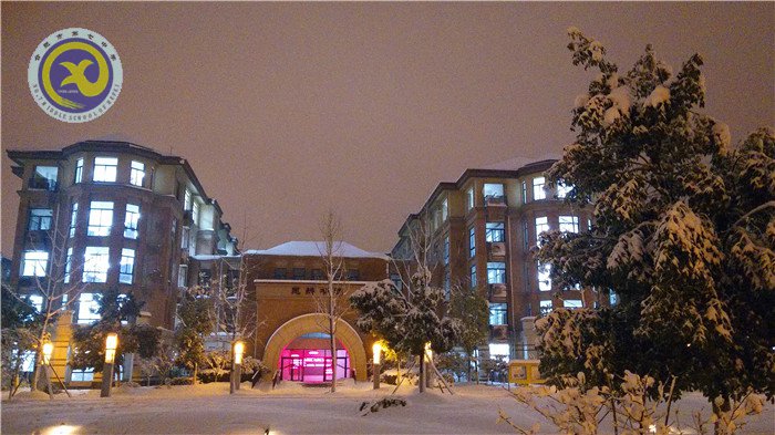 梅雪盼冬来,微笑迎春归(图13)