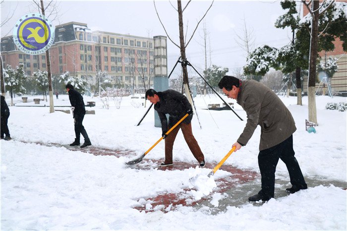 梅雪盼冬来,微笑迎春归(图9)