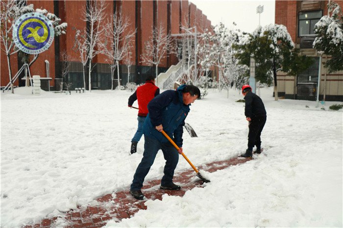 梅雪盼冬来,微笑迎春归(图11)