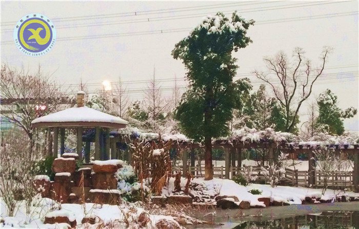 梅雪盼冬来,微笑迎春归(图8)