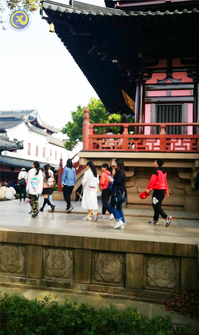 寻古寺出处,观最美园林(图3)