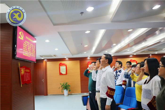 合肥七中党员志愿者服务队正式成立(图3)