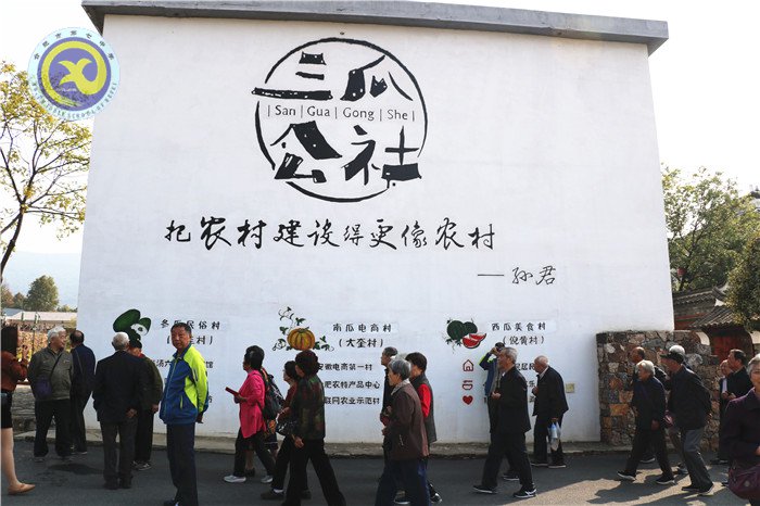 合肥七中离退休教职工参观三瓜公社(图10)