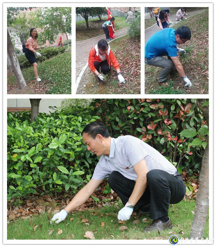 齐心除草整庭院  党领我行再奋进(图2)