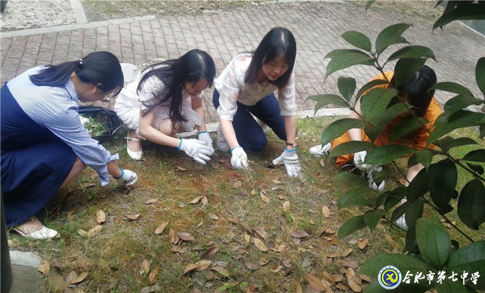 齐心除草整庭院  党领我行再奋进(图4)