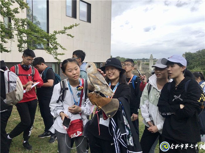 游在英国，学在牛津(图5)