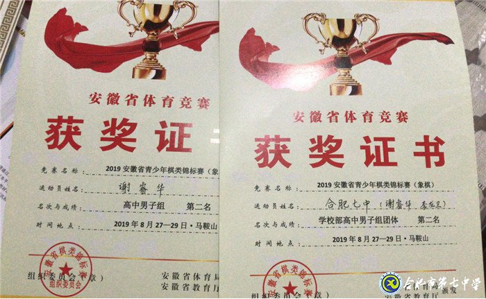 合肥七中喜获2019年安徽省棋类锦标赛团体第二名(图7)