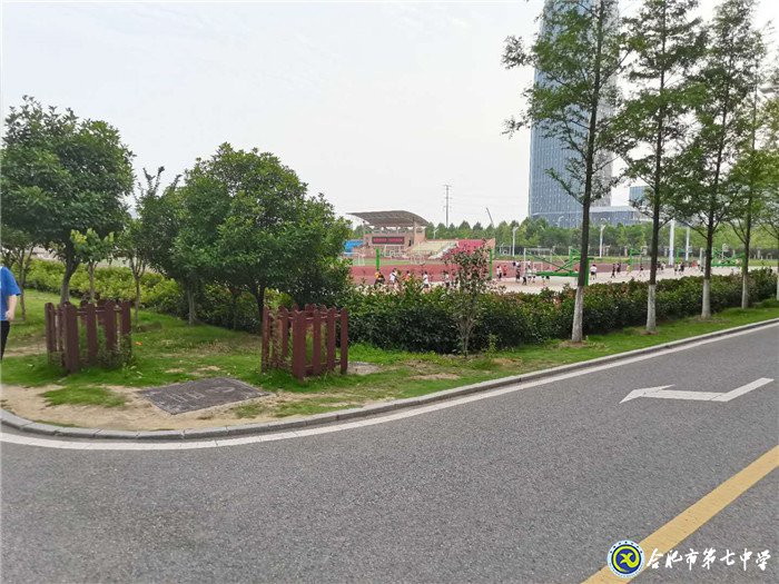 合七记忆(图4)