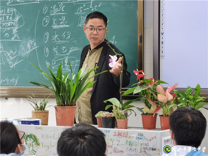春夏秋冬,花开无声(图1)