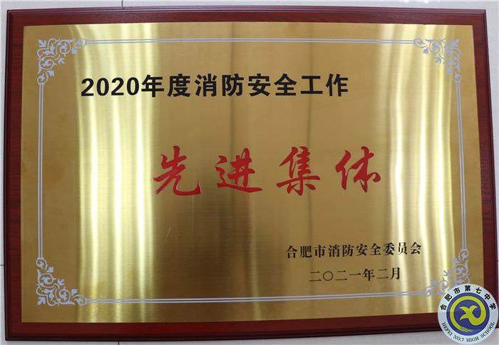 2020年度消防安全工作先进集体.jpg