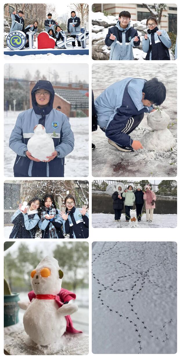 宝藏学校：每个人都期待，雪花所带来的“活泼泼”的生命(图9)