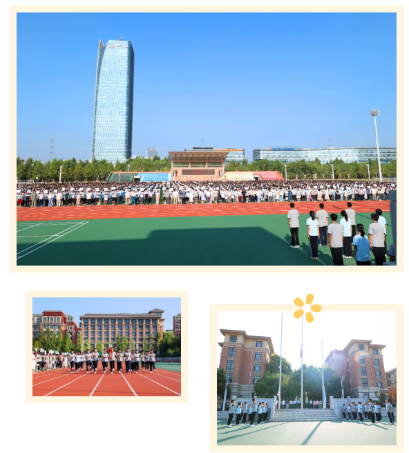 QQ截图20240910083416.png