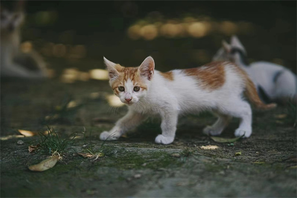 微信图片_20250929154629_1654_186.jpg 微信图片_20250929154629_1654_186.jpg