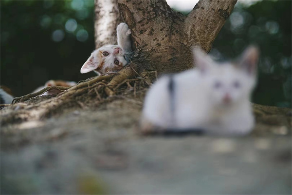 微信图片_20250929154633_1658_186.jpg 微信图片_20250929154633_1658_186.jpg