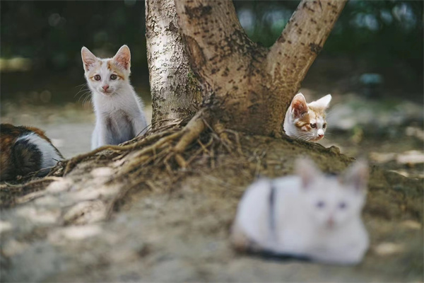 微信图片_20250929154632_1657_186.jpg 微信图片_20250929154632_1657_186.jpg