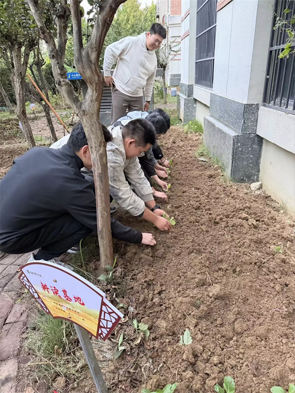 微信图片_20251021191215_2158_186.jpg 微信图片_20251021191215_2158_186.jpg