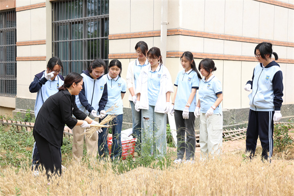 田间万物生长时：合肥七中“耕读教育”如何让知识扎根大地(图6)