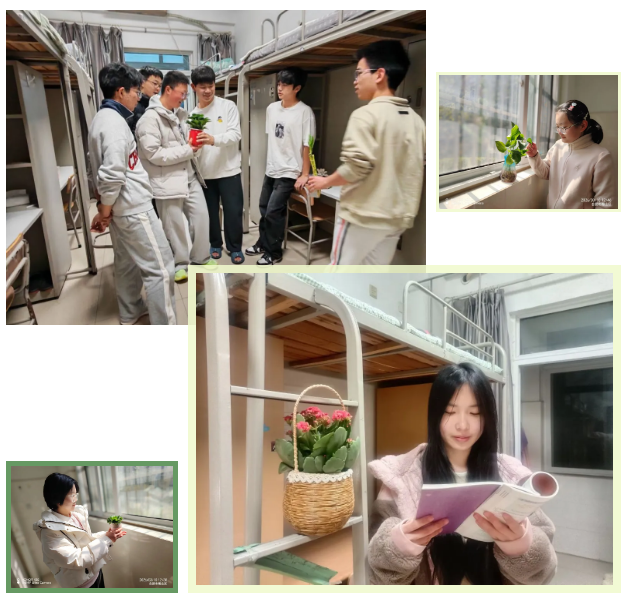 治愈力满格！我们把春天&ldquo;搬进&rdquo;寝室