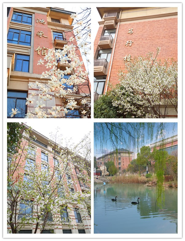 花开无声，却说着最响亮的话语&mdash;&mdash;关于生长，关于希望