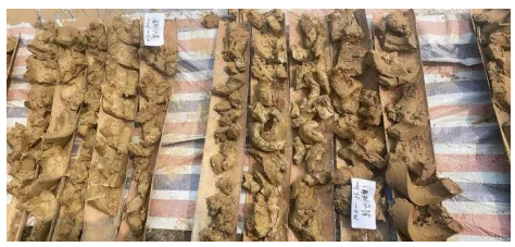 QQ截图20260415105438.png QQ截图20260415105438.png