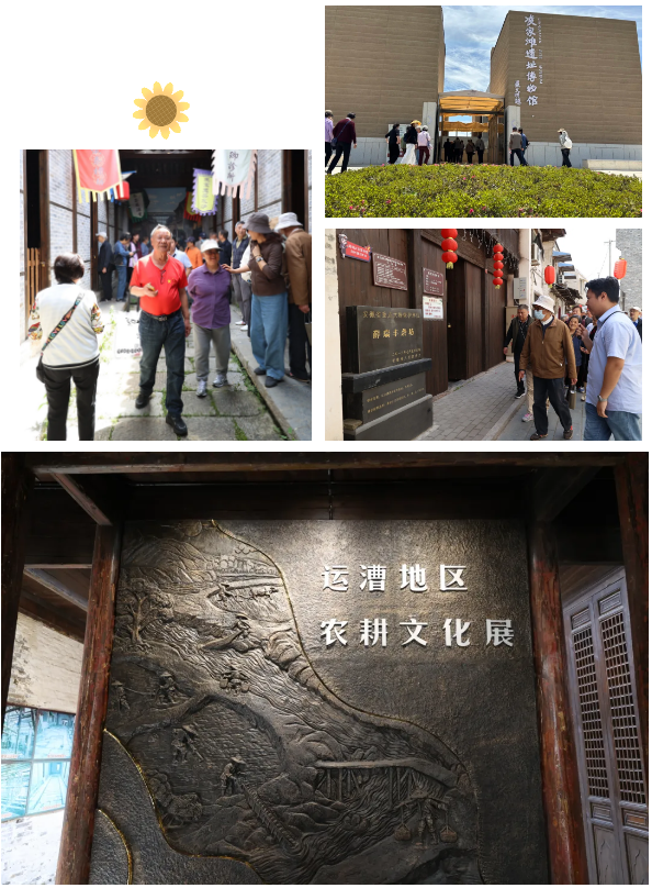 QQ截图20260511161950.png