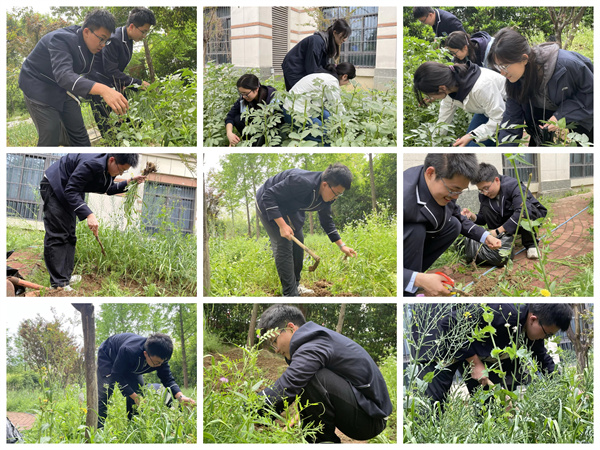 土豆辣椒齐“报到”,看七宝在田间地头种春天!
