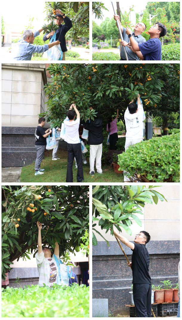QQ截图20260520171657.png QQ截图20260520171657.png