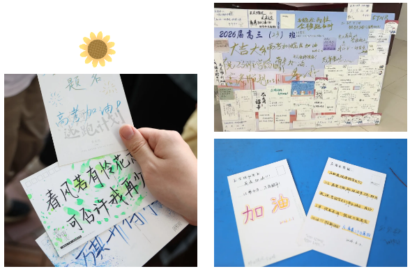 QQ截图20260605083226.png