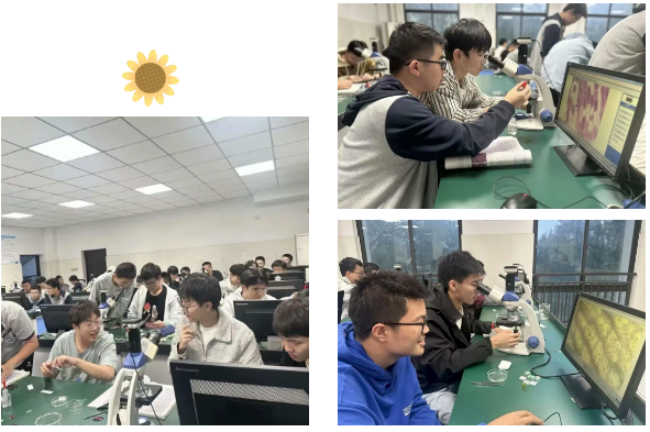 QQ截图20260624144127.png QQ截图20260624144127.png